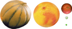 Fruits & Planètes